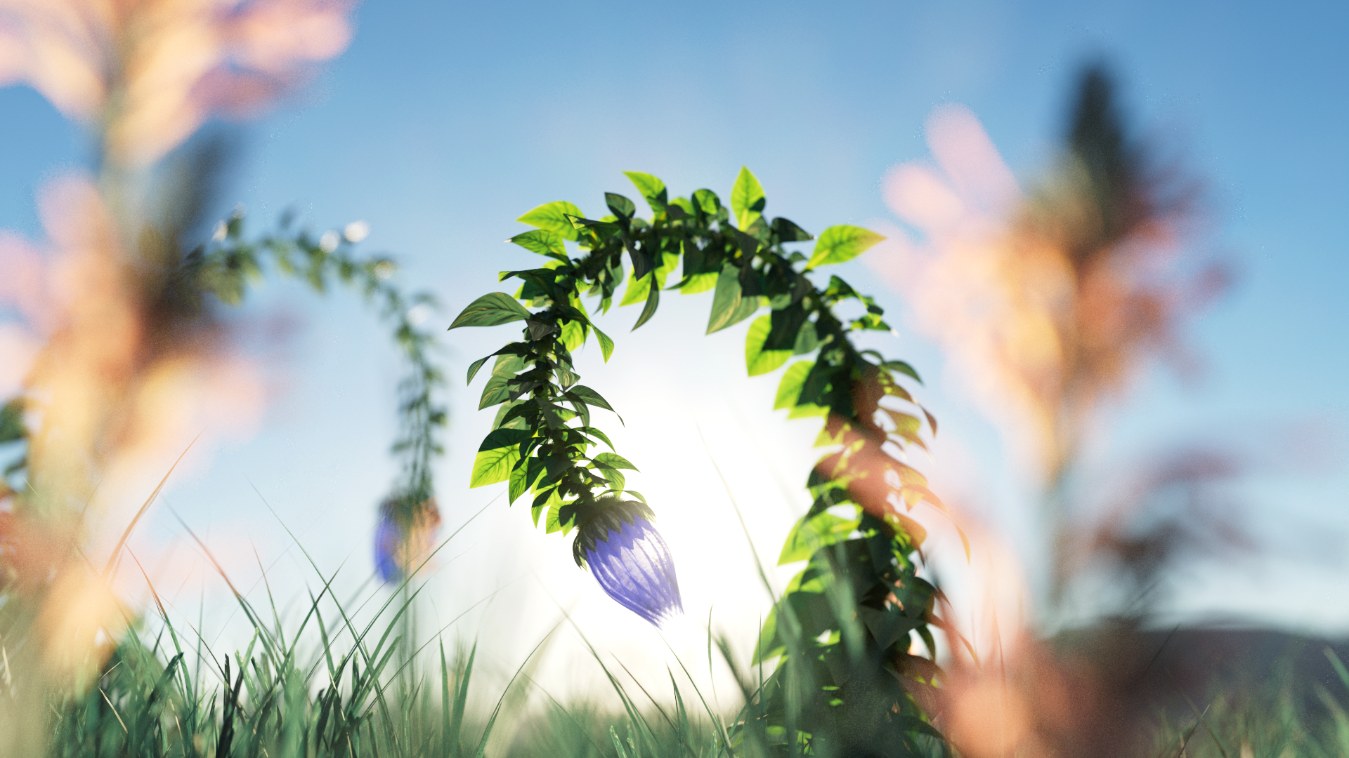 Pepper: Sexual Wellness Kits by Nacho Velasco, a nominee on Motion Design Awards