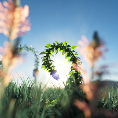 Still image of Pepper: Sexual Wellness Kits by Nacho Velasco