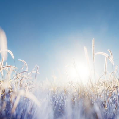 Still image of Pepper: Sexual Wellness Kits by Nacho Velasco