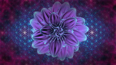 Still image of IMAGINE by HarendarPharswan