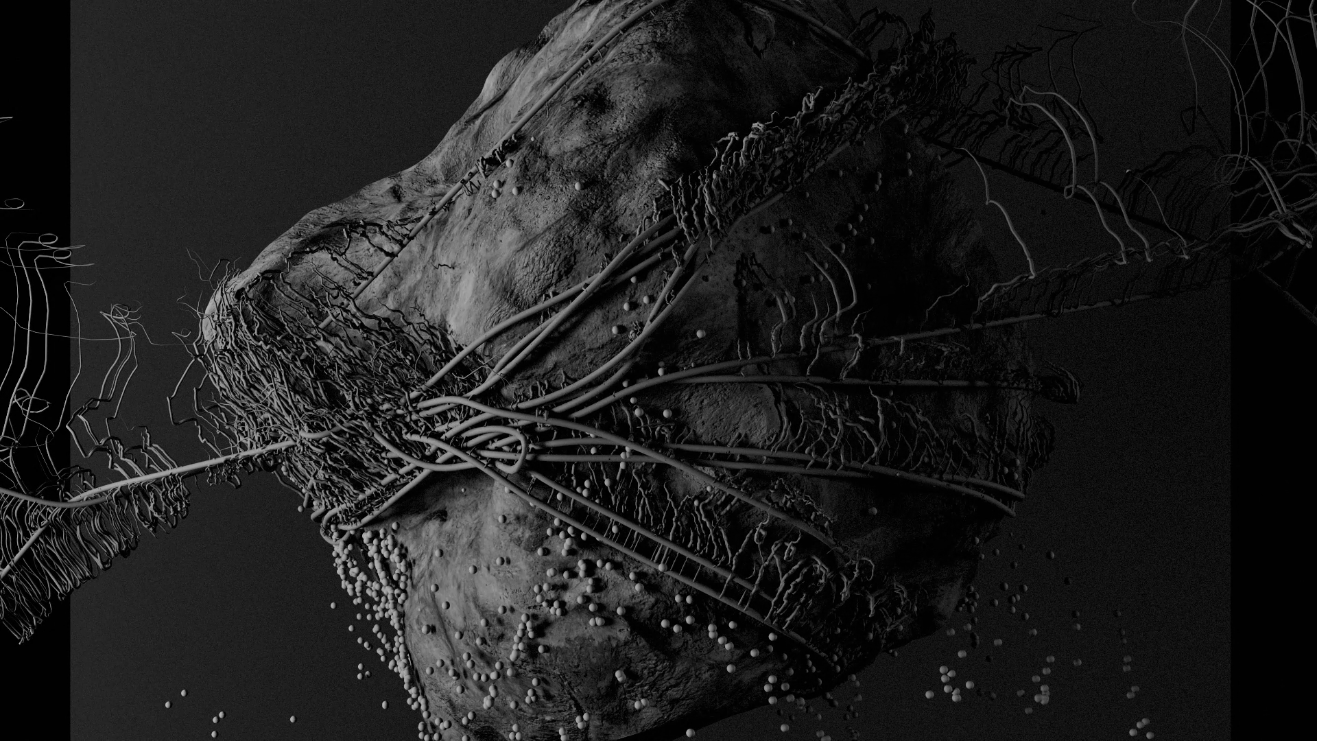 M US E I I by Dimitrios Sakkas, a nominee on Motion Design Awards