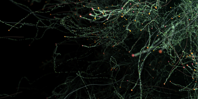 Still image of M U S E by Dimitrios Sakkas