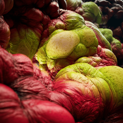 Still image of .P.U.P.A. | THE LARVAL FORM by Obsedant