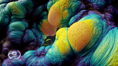 Still image of .P.U.P.A. | THE LARVAL FORM by Obsedant