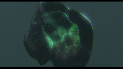 Still image of GALEA Productions logo Animation by GALEA productions / Andres Galeano