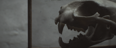 Still image of Collector | OFFF 2021 by Cal Lomax