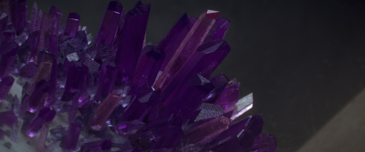 Still image of Collector | OFFF 2021 by Cal Lomax